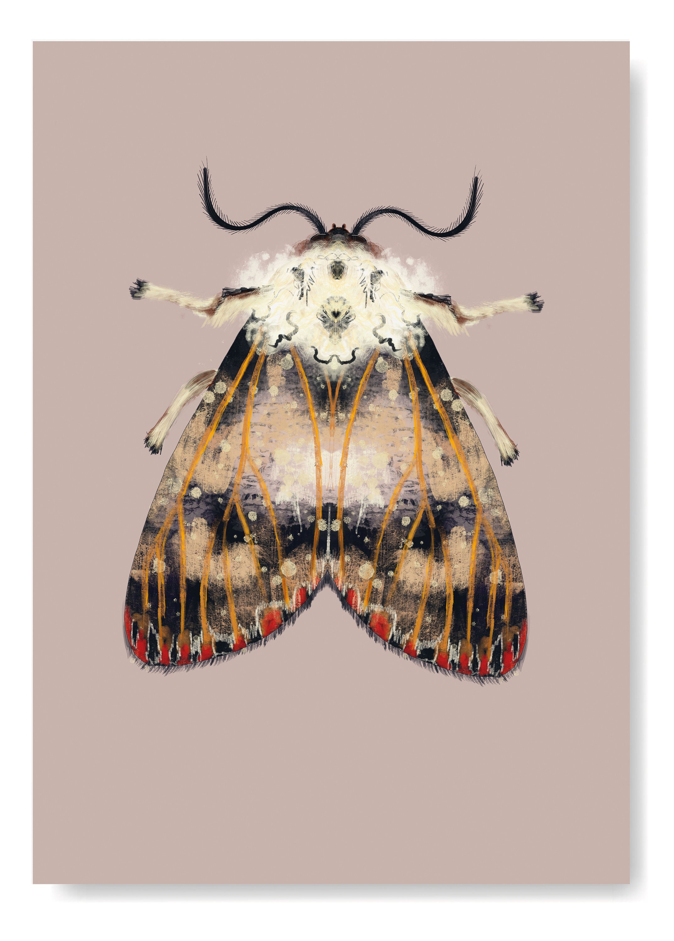 Moths Art print on colored background Moth Art Art on the | Etsy