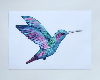 Hummingbird A4 Unframed Print