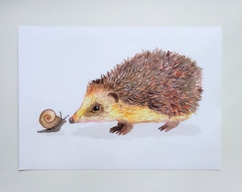 Hedgehog A4 Unframed Print