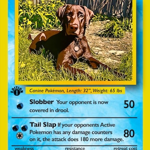 Cartes Pokémon personnalisées pour animaux de compagnie