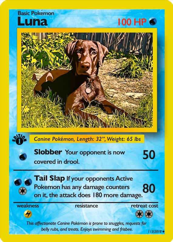 Custom Pet Pokemon cards
