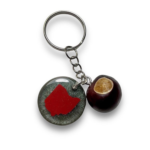 State of Ohio Keychain with REAL Buckeye Nut, Football Fan Gift for Him, Scarlet and Gray College Team Wallet Accessories, Graduation Ideas