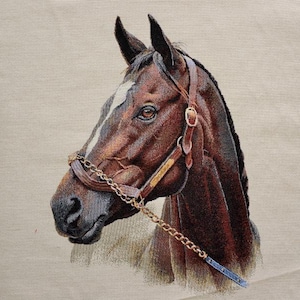 Gobelin Panel, Karino Pferd, Kissen Panel, Stuhl Sitzbezug, Tragetasche, Jacquard Stoff, Wand Kunst, 45 x 45 cm