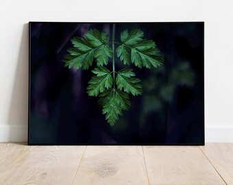 Dark Botanical Leaf Poster, Moody Green Nature Photography Print, Minimalist Plant Wall Art, Scandinavian Decor, Forest Aesthetic Wall Art