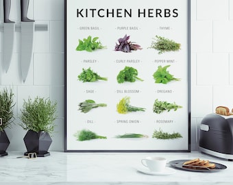 Kitchen Herbs Poster – Herb Chart Wall Art – Cooking Herbs Guide Print – Basil Parsley Rosemary Decor – Kitchen Wall Art