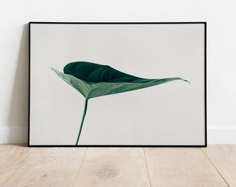 Poster green leaf, Botanical print