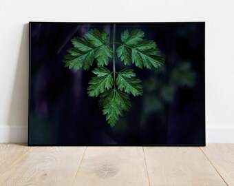Poster green leaf, Botanical print