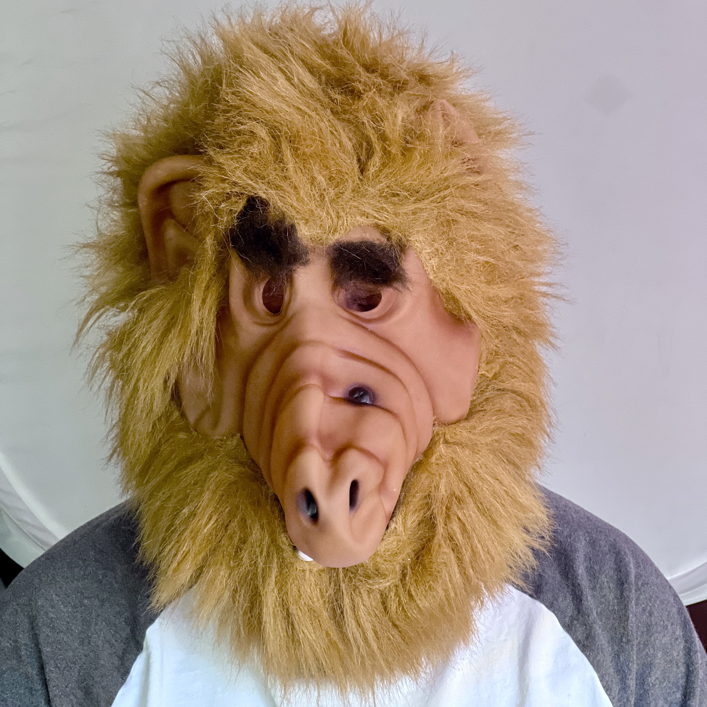 Vintage Alf mask : r/Alf