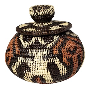 Panama Rainforest Basket, Human Cave Drawings With Lid, Handwoven Wounaan Embera Tribal, Original Folk Art, Darien, Natural Fiber Artwork