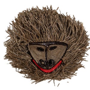 Common Marmoset Monkey Mask, Embera Tribal Wall Art, Handwoven Natural Fiber Face, Jungle Animal Decor, Ethical Indigenous Craft, Rainforest