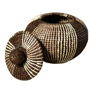 Panama Rainforest Basket, Brown White Jungle Essence, Handwoven Wounaan Embera Lidded Vessel, Folk Design, Darien, Natural Fiber Keepsake