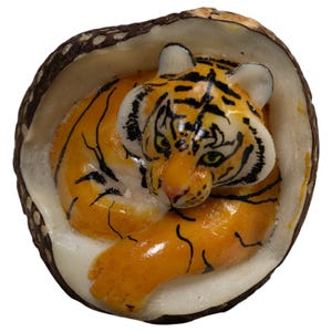 Può includere: Una piccola statuetta di tigre dipinta a mano, raggomitolata all'interno di un guscio di noce di cocco marrone e testurizzato. La tigre ha il pelo arancione con strisce nere, accenti bianchi sul viso e sulle orecchie e occhi verdi.