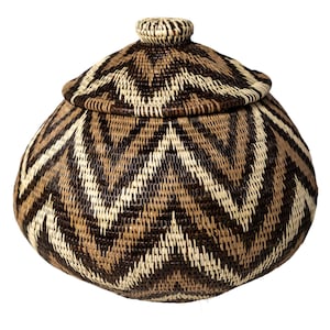 Panama Rainforest Basket, Angry Seas, Handwoven Wounaan Embera Lidded Vessel, Original Folk Art, Darien, Ocean Weave, Natural Fiber Artwork