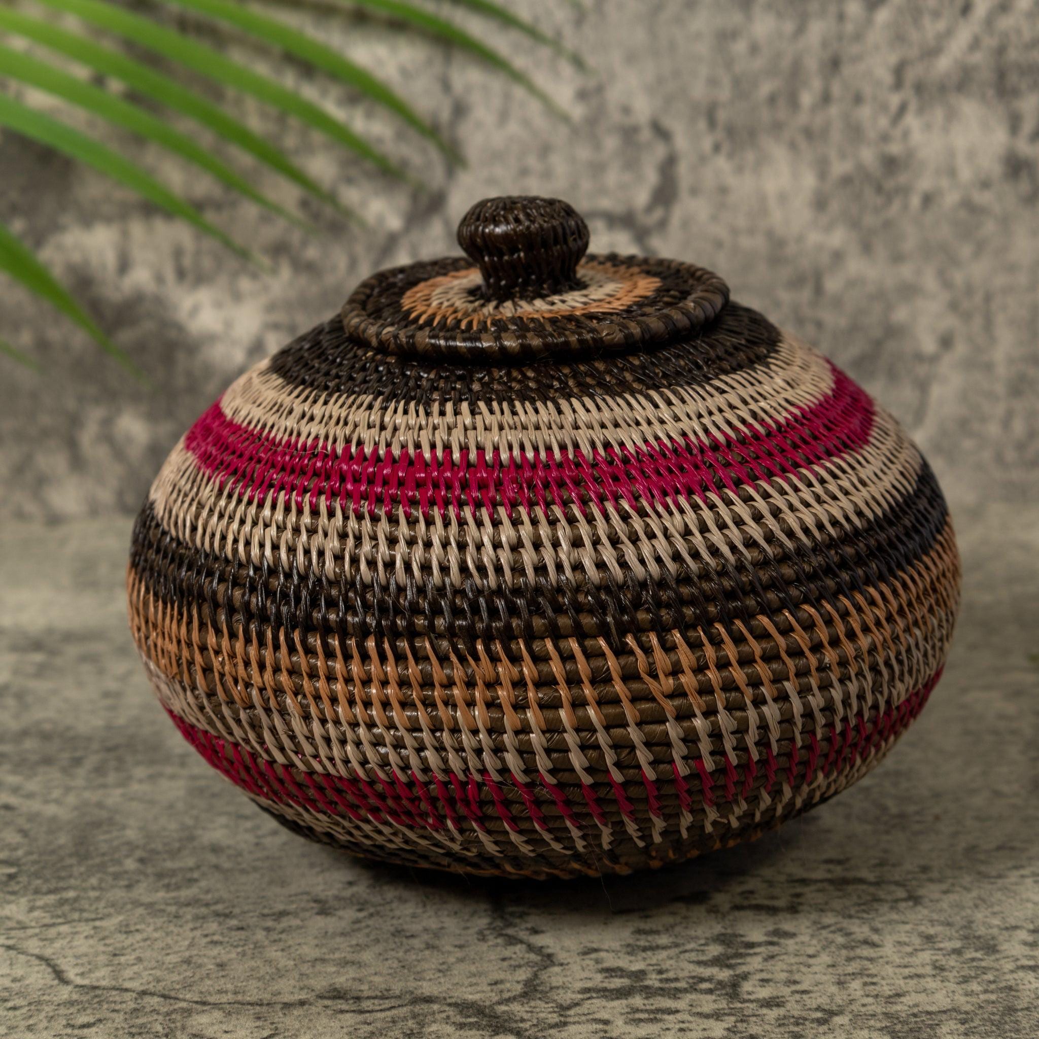 Panama Rainforest Basket, Red Gold Brown White, Handwoven Wounaan Embera Lidded Vessel, Bold Vivid Design, Darien, Natural Fiber Keepsake