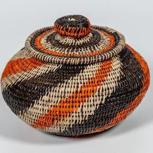 Panama Rainforest Basket, Harvest Swirl, Handwoven Wounaan Embera Lidded Vessel, Autumn Diagonal Design, Darien, Natural Fiber Artwork