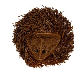 Brown Griviet Monkey Mask, Embera Tribal Wall Art, Handwoven Natural Fiber Face, Jungle Animal Decor, Panama Indigenous Craft, Rainforest
