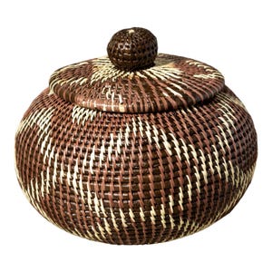 Panama Rainforest Basket, Brown Fish Net, Handwoven Wounaan Embera Lidded Vessel, Bold Folk Pattern, Darien, Natural Fiber Keepsake