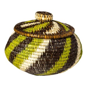Panama Rainforest Basket, Green Forest Swirl With Lid, Handwoven Wounaan Embera Lidded, Original Folk Art, Darien, Natural Fiber Artwork