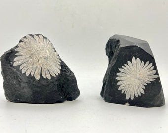 Raw Chrysanthemum Flower Stone, Collector Rock Specimen, Home Decor F01-10