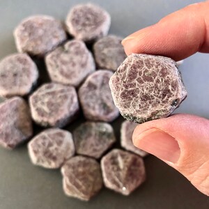 K&ouml;nnte beinhalten: Eine Sammlung von rohen rosa Rubin-Steinen, wobei ein Stein in einer Hand gehalten wird. Die Steine sind facettiert und haben ein nat&uuml;rliches, rohes Aussehen.