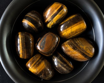 Large Tigers Eye Palm Stone, Tumbled Worry Stone, Healing Crystal (1.7-2 inch) TP01-11