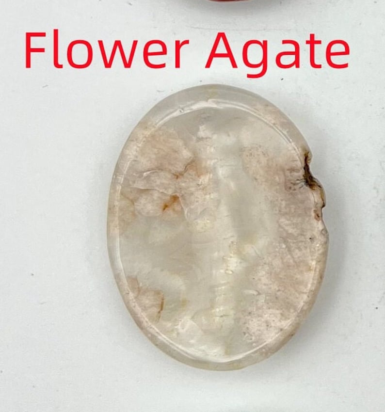 K&ouml;nnte beinhalten: Nahaufnahme eines wei&szlig;en Bl&uuml;tenagates mit braunem und wei&szlig;em Muster. Der Agat ist oval geformt und hat eine glatte, polierte Oberfl&auml;che. "Flower Agate" ist in roten Buchstaben &uuml;ber dem Agat geschrieben.