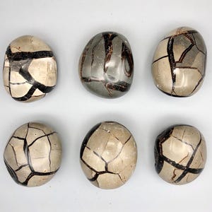 Septarian Dragon Egg, Geode Crystal Palm Stone F01-28