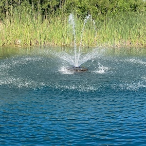 May include: A water fountain in a pond with a spray of water. The water is a deep blue color, and the fountain is surrounded by green reeds and trees. The sky is a clear blue.