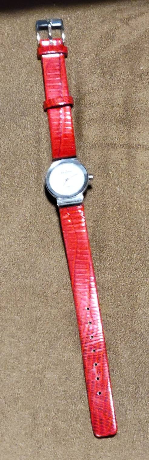 Skagen Women display picture 2