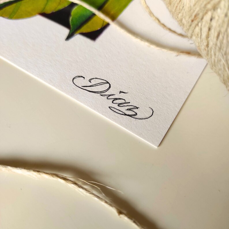 May include: A white card with the name "Diaz" in elegant black script. The card features a partial illustration of green leaves and is accompanied by a roll of twine.