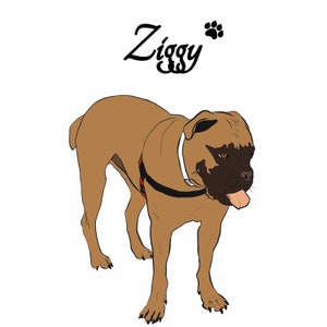 Digital pet portrait - full body