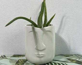 Tribal Face Planter White Ceramic Flower Pot Raised Features Easter Island