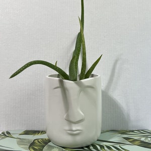 Tribal Face Planter White Ceramic Flower Pot Raised Features Easter Island image 1