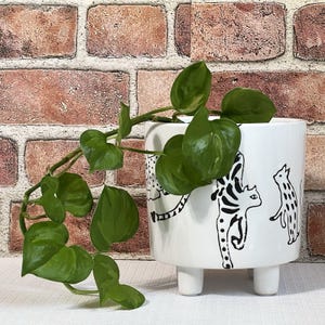 May include: A white ceramic planter with three short legs, decorated with black cat illustrations. The planter holds a green leafy plant with heart-shaped leaves. The background is a brick wall.