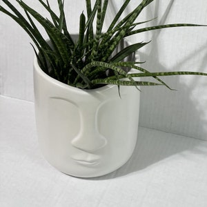 Tribal Face Planter White Ceramic Flower Pot Raised Features Easter Island image 8