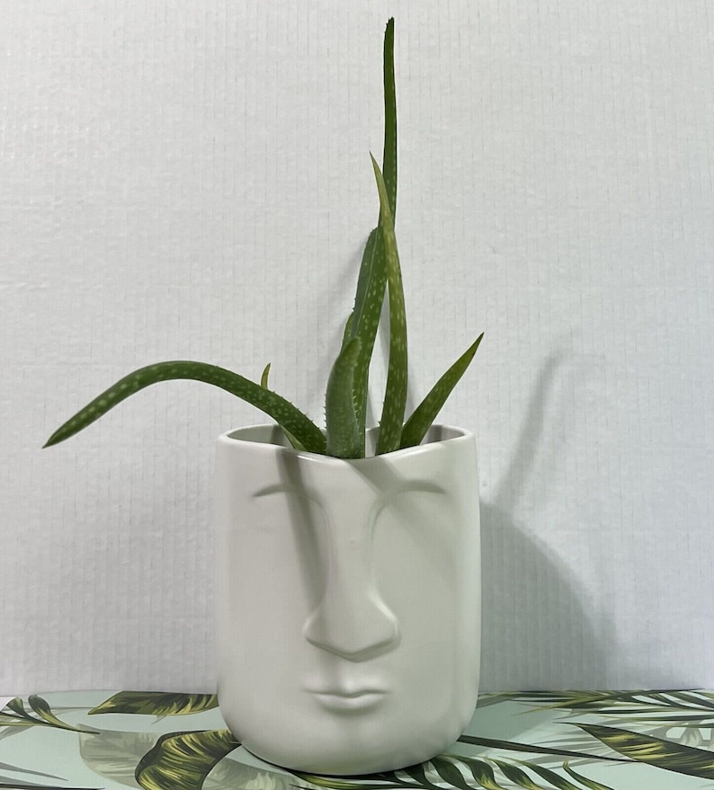 Tribal Face Planter White Ceramic Flower Pot Raised Features Easter Island image 1