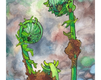 Fiddleheads by the Riverbed Watercolor and Ink Giclée Artist Print