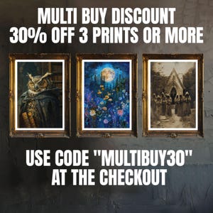 May include: Three framed prints with different images. The left print features a brown owl with large yellow eyes wearing a dark hooded robe. The middle print shows a moonlit forest scene with a variety of flowers and plants. The right print shows a black and white image of a group of people standing in front of a building. The text on the image reads "MULTI BUY DISCOUNT 30% OFF 3 PRINTS OR MORE USE CODE "MULTIBUY30" AT THE CHECKOUT"