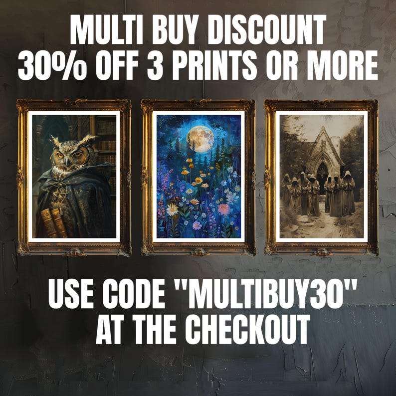 May include: Three framed prints with different images. The left print features a brown owl with large yellow eyes wearing a dark hooded robe. The middle print shows a moonlit forest scene with a variety of flowers and plants. The right print shows a black and white image of a group of people standing in front of a building. The text on the image reads "MULTI BUY DISCOUNT 30% OFF 3 PRINTS OR MORE USE CODE "MULTIBUY30" AT THE CHECKOUT"