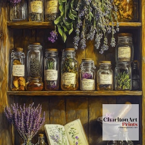 K&ouml;nnte beinhalten: Ein rustikales Holzregal zeigt Gl&auml;ser mit Kr&auml;utern und Gew&uuml;rzen, einige mit handgeschriebenen Etiketten. Lavendelzweige h&auml;ngen herab, und ein Notizbuch mit botanischen Illustrationen liegt darunter. Die Szene erinnert an eine alte Apotheke oder Kr&auml;uterkundler.