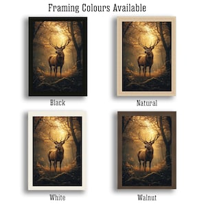 May include: Four different framing options for a print of a stag standing in a forest. The framing options are black, natural, white, and walnut.
