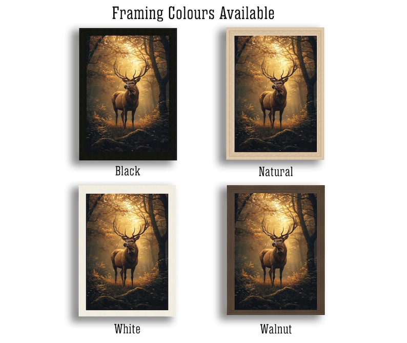 May include: Four different framing options for a print of a stag standing in a forest. The framing options are black, natural, white, and walnut.
