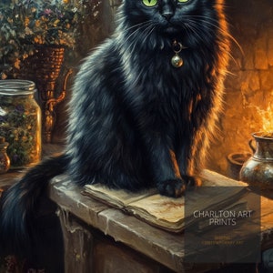 May include: A digital art print of a black cat with green eyes, sitting on a wooden surface next to an open book. The cat has long, fluffy fur and wears a collar with a bell. The print has a warm, vintage aesthetic, with the text "CHARLTON ART PRINTS" and "DIGITAL CONTEMPORARY ART".