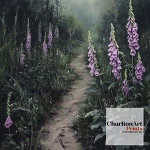 Puede incluir: Pintura de un sendero que serpentea por un bosque, con altos dedales p&uacute;rpuras a los lados. El sendero es de tierra, y el follaje circundante es verde. La obra de arte tiene una calidad suave y pict&oacute;rica, con una atm&oacute;sfera brumosa. El texto "CharltonArt Prints" est&aacute; en la esquina inferior derecha.