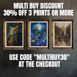 May include: Three framed prints with different images. The left print features a brown owl wearing a dark robe and holding a book. The middle print shows a moonlit forest with flowers and a full moon. The right print shows a group of people in black robes standing in front of a church. The text on the image reads "MULTI BUY DISCOUNT 30% OFF 3 PRINTS OR MORE USE CODE "MULTIBUY30" AT THE CHECKOUT"