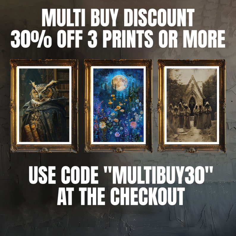 May include: Three framed prints with different images. The left print features a brown owl wearing a dark robe and holding a book. The middle print shows a moonlit forest with flowers and a full moon. The right print shows a group of people in black robes standing in front of a church. The text on the image reads "MULTI BUY DISCOUNT 30% OFF 3 PRINTS OR MORE USE CODE "MULTIBUY30" AT THE CHECKOUT"