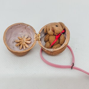 Könnte beinhalten: Ein kleiner Teddybär mit rotem Band sitzt in einer Walnussschale, die sich öffnet und eine kleine Blume zeigt. Ein rosa Haargummi ist an der Walnussschale befestigt. Der Hintergrund ist weiß.