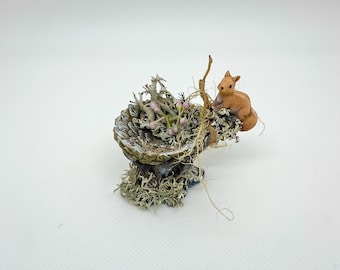 Gnome miniature nativity accessories Gnome squirrel on nest in tree trunk