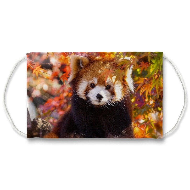 Red Panda Face Mask Red Panda Mask. Adult / Kids Face Mask | Etsy