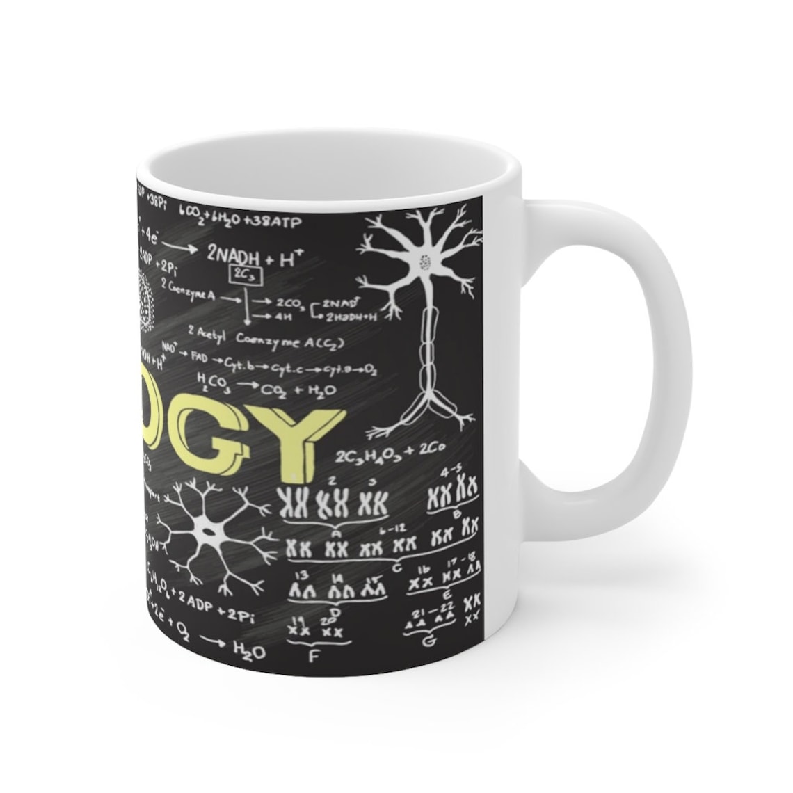Blackboard Biology Mug Biology Gifts Biology Teacher Gift Etsy